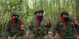 Colombia Is Under Threat: ELN Armed Strike eln colombia Belatina