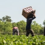UnidosUS to Congress: Don’t Leave Us Out UnidosUS BELatina covid relief