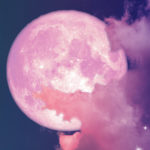 Full Pink Moon: What Grows Wild in Your Life super pink moon 2020 BELatina