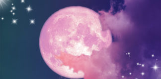 Full Pink Moon: What Grows Wild in Your Life super pink moon 2020 BELatina