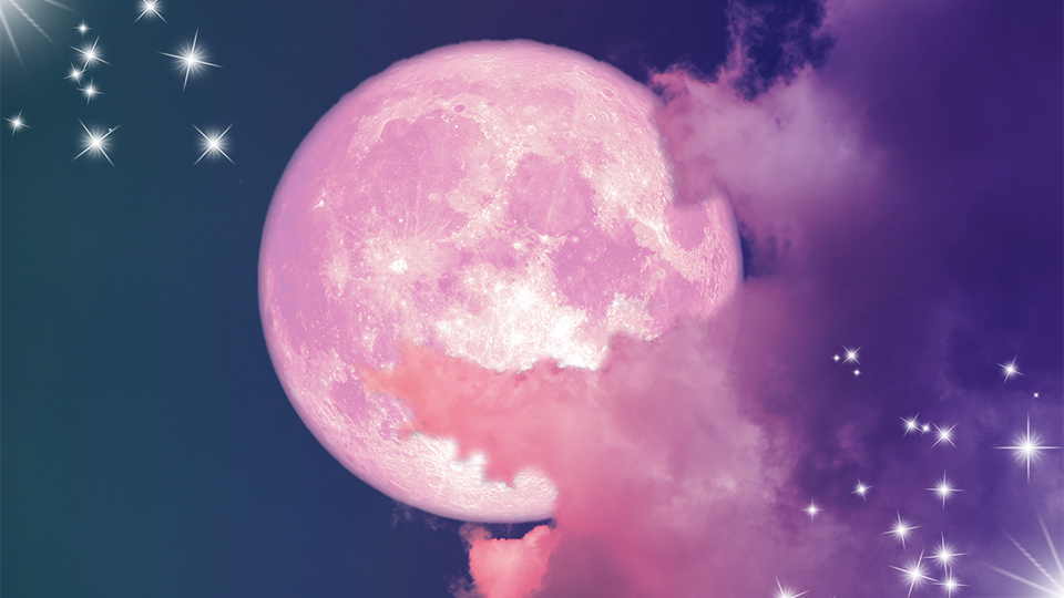 Full Pink Moon What Grows Wild in Your Life BELatina