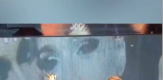 Carmen Carrera Puts Her Wardrobe Up For Auction to Support the LGBTQ Community Carmen Carrera LGBTQ BELatina