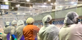 Is Meat-Eating Murder? The Deadly Impact of the Meat Processing Industry on Latinos BELatina Meat Packing Latinx