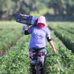 American Farm Workers Receive Hispanic Heritage Heroes Award Photo courtesy of the 360mag.com Belatina, Latinx