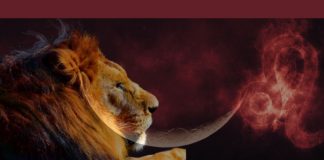 Full Moon in Leo: Boost of Confidence and Creativity Photo courtesy of Belatina.com latinx, belatina