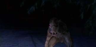 How the Chupacabra Became an Emblem of the Latin American Cultural Imagery Chupacabra BELatina Latinx