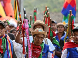 Indigenous leaders BELatina Latinx