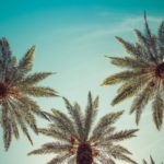 Karol G, Chicano Batman, and More Latino Talent in Coachella 2022 Lineup Coachella 2022 BELatina Latinx