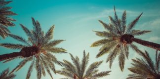 Karol G, Chicano Batman, and More Latino Talent in Coachella 2022 Lineup Coachella 2022 BELatina Latinx