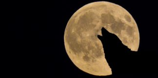 Full Moon in Cancer: Sensitivity as Our Superpower Photo courtesy of BELatina