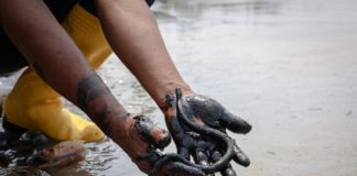 Pipeline Rupture Puts Ecuador’s Amazon at Risk Ecuador Amazon BELatina Latinx