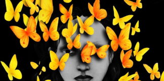 ‘The Dust Never Settles,’ Karina Lickorish Quinn’s Novel About the Painful Weight of History The Dust Never Settles BELatina Latinx