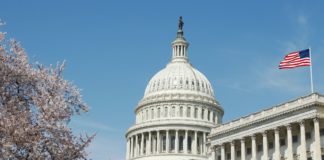 The Ultimate Guide To Keep an Eye on Midterm Elections midterm elections BELatina Latinx