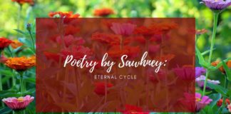 Poetry by Sawhney: Eternal Cycle Photo courtesy of BELatina