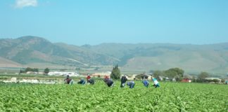 Justice for Migrant Women Opens the Conversation About Migrant Women’s Mental Health in the Workplace Justice for Migrant Women BELatina Latinx