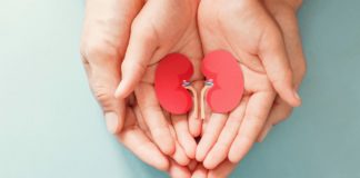 The Paradox of Organ Donation in the Latino Community Organ donation Latinos BELatina Latinx