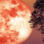 Full Moon in Sagittarius, Embrace Your Emotional Process With Optimism and Faith Full Moon in Sagittarius BELatina Latinx