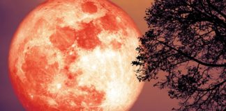 Full Moon in Sagittarius, Embrace Your Emotional Process With Optimism and Faith Full Moon in Sagittarius BELatina Latinx