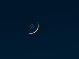 New Moon in Cancer Tending to One Another BELatina Latinx