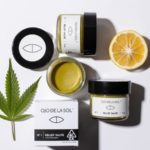 These Small Latine CBD Entrepreneurs Are Breaking Stigmas Small Latine CBD Entrepreneurs BELatina Latinx