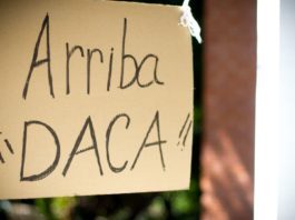 What Does the DACA Final Rule Actually Mean? belatina latine