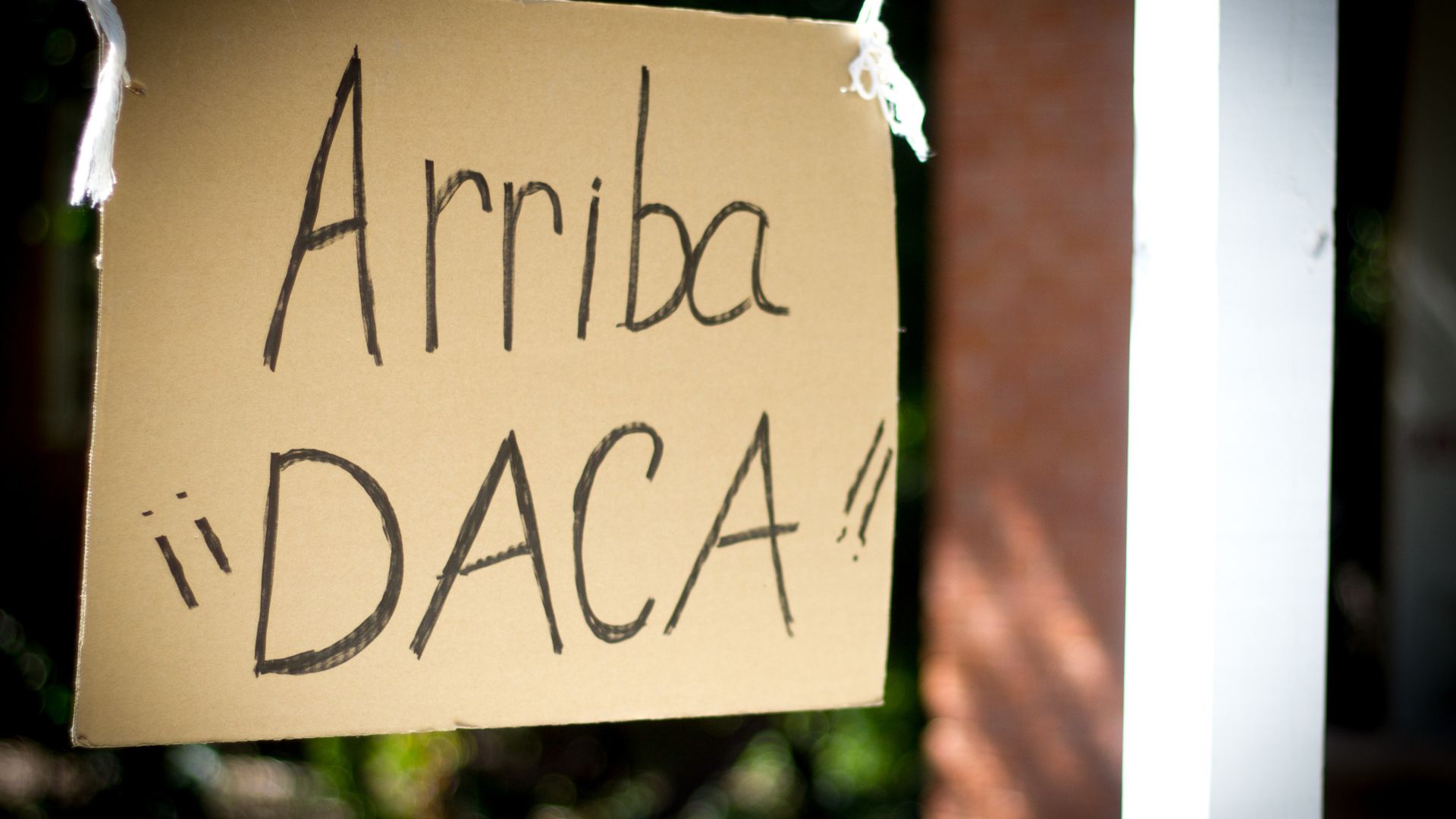What Does the DACA Final Rule Actually Mean? belatina latine