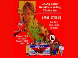 California Farmworkers March to Demand Better Working Conditions belatina latine