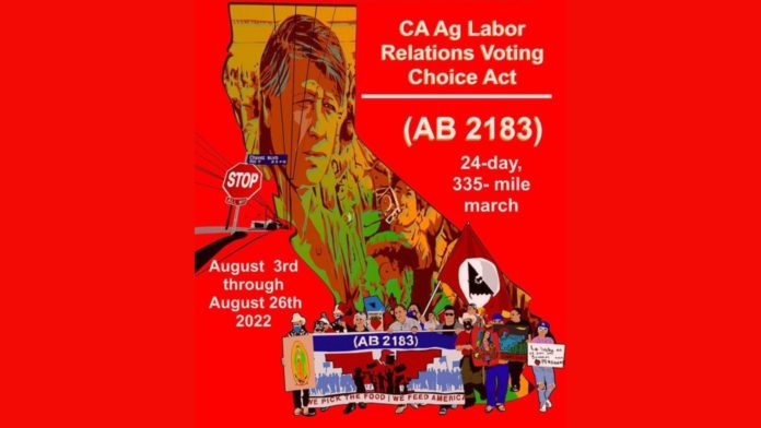 California Farmworkers March to Demand Better Working Conditions belatina latine