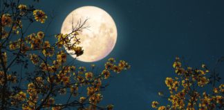 Full Moon in Pisces: Go with the Flow Full Moon in Pisces: Go with the Flow belatina latine