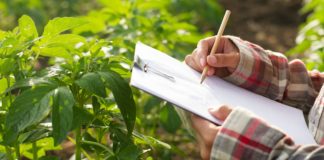 The USDA Invested $14 Million To Latino-Serving Higher Education Establishments The U.S. Department of Agriculture Invested $14 Million To Latino-Serving Higher Education Establishments BELATINA LATINE