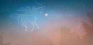 New Moon in Sagittarius is Setting Us Up for Our Grandest Vision New Moon in Sagittarius is Setting Us Up for Our Grandest Vision Belatina latine