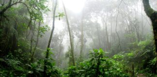 These Ecuadorian Indigenous Women Show Up For What Matters All Year Long These Ecuadorian Indigenous Women Show Up For What Matters All Year Long