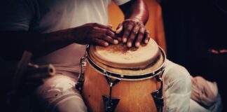 ¡Azúcar! A Museum in the Bronx Honoring Salsa Music May Be Coming Soon ¡Azúcar! A Museum in the Bronx Honoring Salsa Music May Be Coming Soon