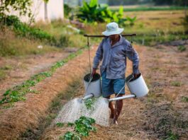 Farm Workers Continue to Be in Danger: Battling Extreme Heat in the Fields