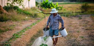 Farm Workers Continue To Be In Danger: Battling Extreme Heat in the Fields Farm Workers Continue to Be in Danger: Battling Extreme Heat in the Fields