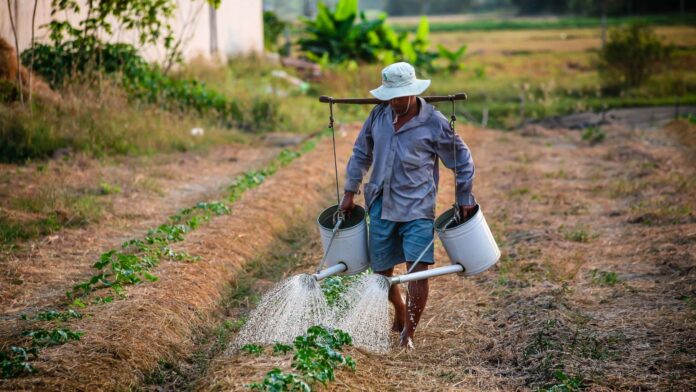 Farm Workers Continue to Be in Danger: Battling Extreme Heat in the Fields
