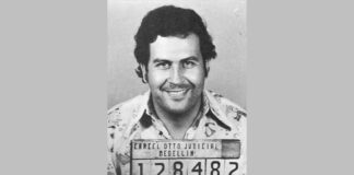 Crackdown on Narcotourism: New Bill Targets Pablo Escobar Memorabilia in Colombia  Medellín Demolishes Pablo Escobar's Museum House, Signaling a Break from its Dark Past