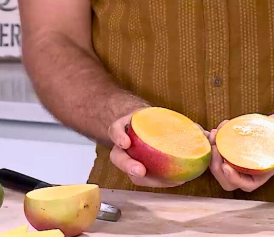 Behind a Latino Staple: Uncovering the Wonders of Year-Round Mango Availability Behind a Latino Staple: Uncovering the Wonders of Year-Round Mango Availability