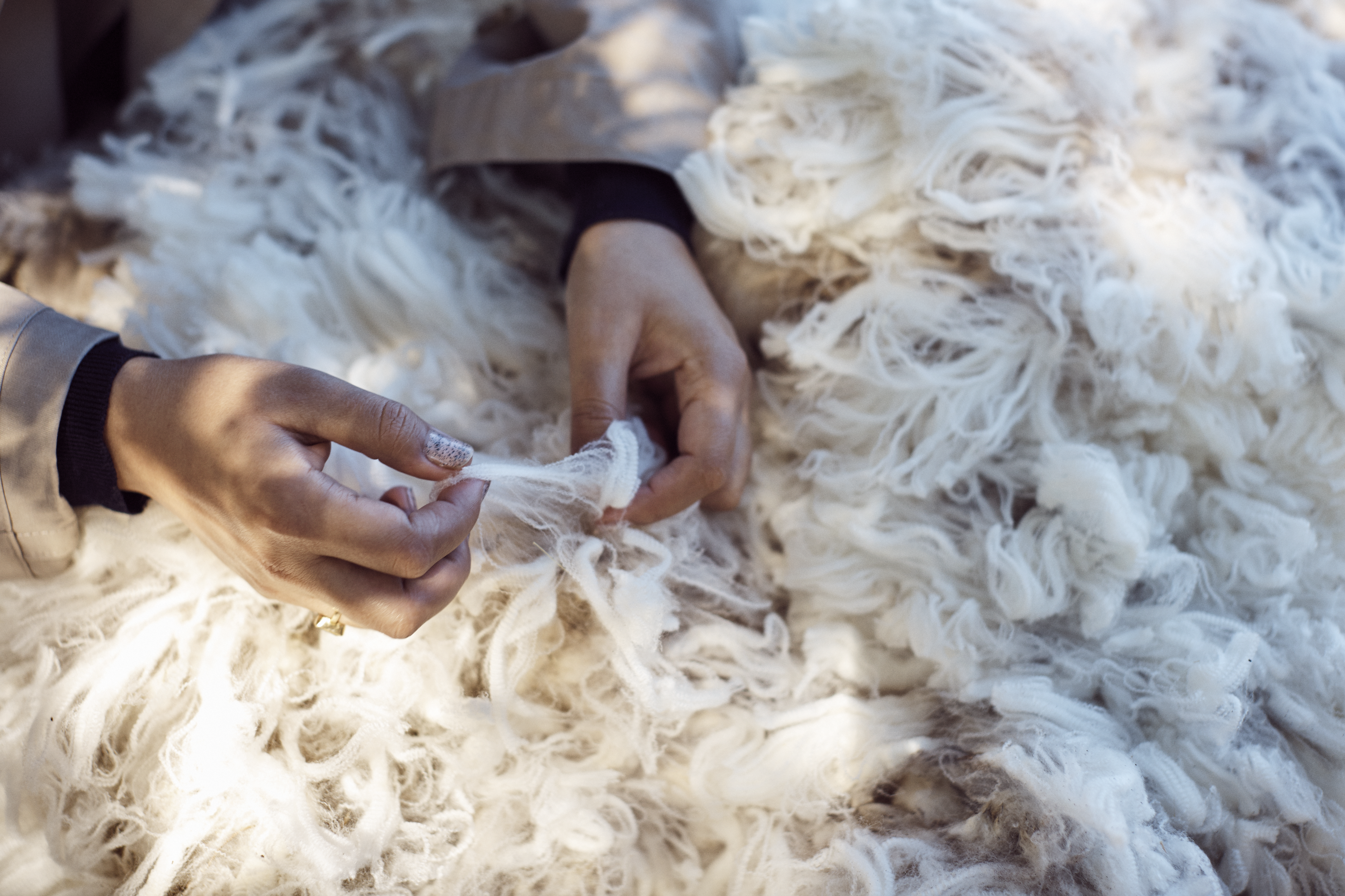 Celebrating the Timeless Elegance of Australian Merino Wool: A Legacy Woven into Latin American Heritage