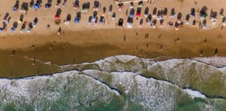 Musicians In Mazatlán, Mexico, Emerge Victorious After Foreign-Born Tourists Tried to Silence Them and Their Art Musicians In Mazatlán, Mexico, Emerge Victorious After Foreign-Born Tourists Tried to Silence Them and Their Art