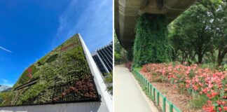 This City in Colombia Is Tackling Rising Temperatures with ‘Green Corridors’ — And It Has Already Seen Cooler Temperatures This City in Colombia Is Tackling Rising Temperatures with ‘Green Corridors’ — And It Has Already Seen Cooler Temperatures