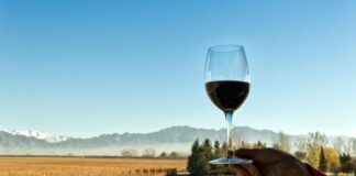 You Might Want to Thank an Argentinian Next Time You Drink Malbec – Here’s Why You Might Want to Thank an Argentinian Next Time You Drink Malbec – Here's Why