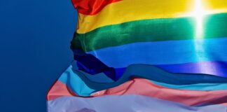 Peru’s Homophobia and Transphobia Is Showing by Prompting LGBTQ+ Individuals to Be Classified with Mental Disorders Peru’s Homophobia and Transphobia Is Showing by Prompting LGBTQ+ Individuals to Be Classified with Mental Disorders