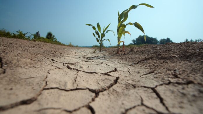 Mexico City Is Starting to Ration Water Due to Water Scarcity 