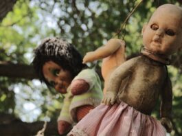 Did You Know Dark Tourism Exists in Mexico? Here’s What You Need to Know about the Island of the Dolls 