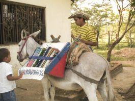 Biblioburro, The Donkey-Powered Library Changing Education in Latin America  