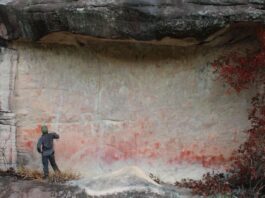 Venezuela's Newly Discovered Ancient Rock Art Could Rewrite South American History 