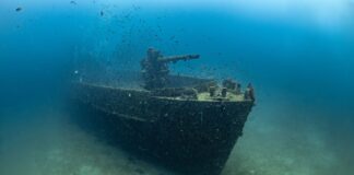 Colonizers’ Lost Vessel Revealed with 18th-Century Spanish Shipwreck in Puerto Rico Colonizers' Lost Vessel Revealed with 18th-Century Spanish Shipwreck in Puerto Rico