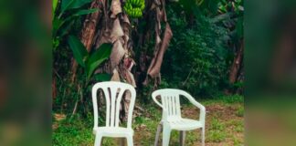 Bad Bunny’s Chairs From ‘DtMF’ Hit the Streets of Mexico City and San Salvador Without Warning — Does This Mean a Tour Is Coming Soon? Threads Users Agree: Bad Bunny’s New Album, Debí Tirar Más Fotos, Feels Personal to All Latinos, Especially Puerto Ricans