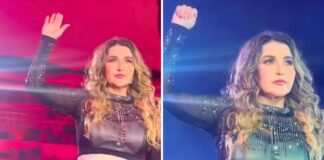 Did Alicia Villarreal Use the Domestic Violence Hand Signal to Ask for Help During Her Concert? Did Alicia Villarreal Use the Domestic Violence Hand Signal to Ask for Help During Her Concert?